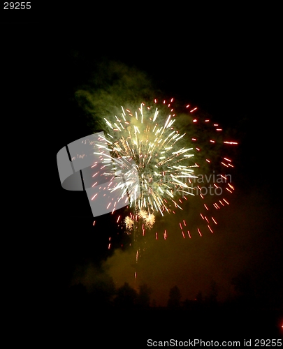 Image of Fireworks and Trees