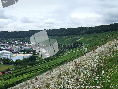 Image of Kochertal in Hohenlohe