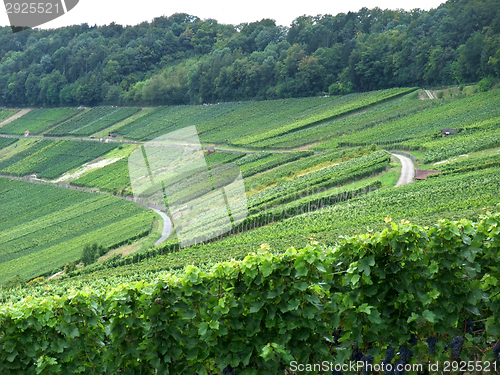 Image of Kochertal in Hohenlohe