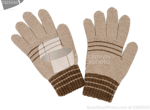 Image of pair of beige gloves