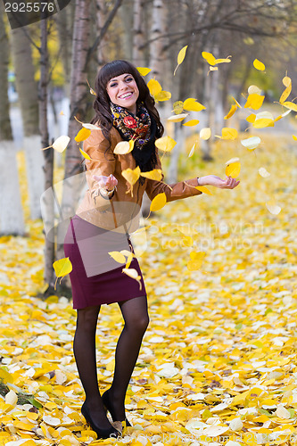 Image of Autumn Leaves - Stock Image