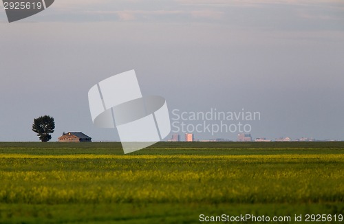 Image of Abandoned Farm Building