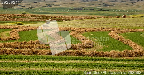 Image of Farming Saskatchewan
