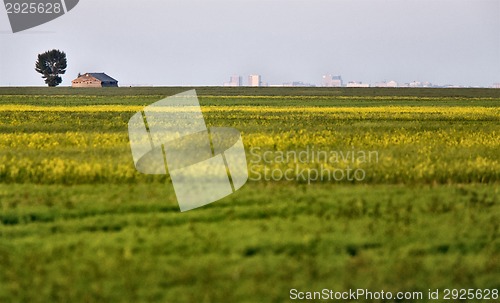 Image of Abandoned Farm Building