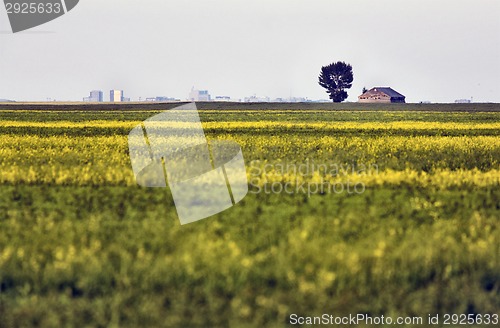 Image of Abandoned Farm Building