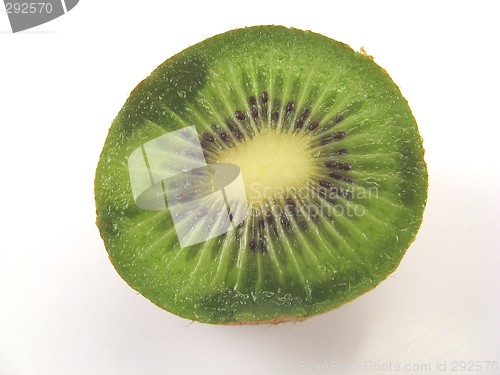 Image of kiwi