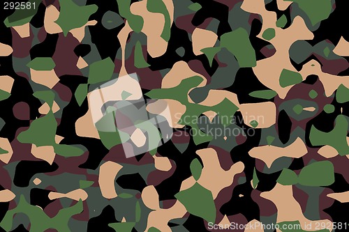 Image of camouflage