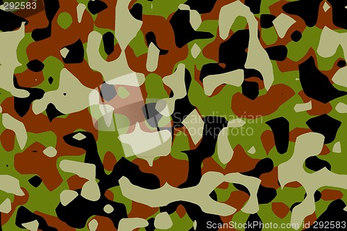 Image of camouflage