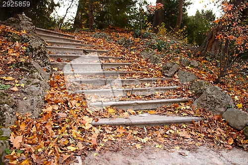 Image of Autumn stairs
