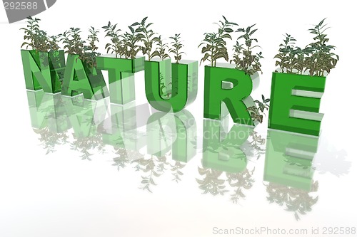 Image of nature