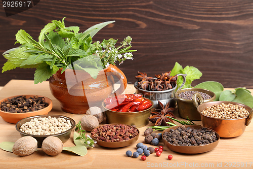 Image of Herbs and spices.