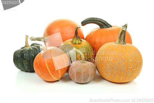 Image of Pumpkins isolated