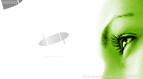 Image of Women's eye - looking forward.Isolated on white.