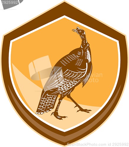 Image of Turkey Walking Shield Retro