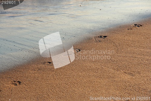 Image of footprints on the beach