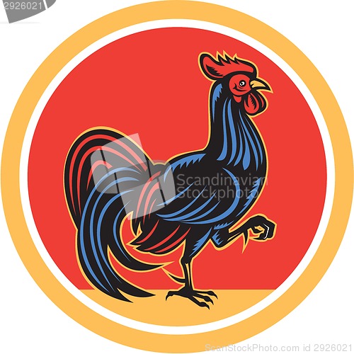 Image of Chicken Rooster Marching Walking Circle Retro