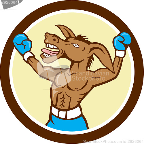 Image of Donkey Boxing Celebrate Circle Cartoon