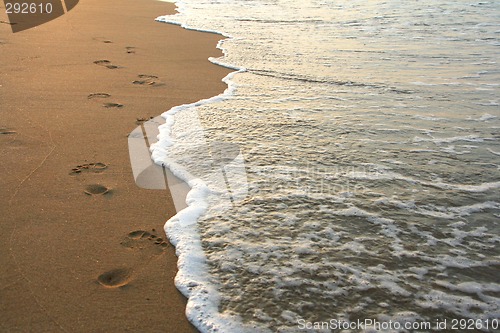 Image of footprints on the beach