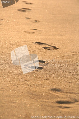 Image of footprints on the beach