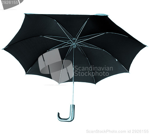 Image of Umbrella