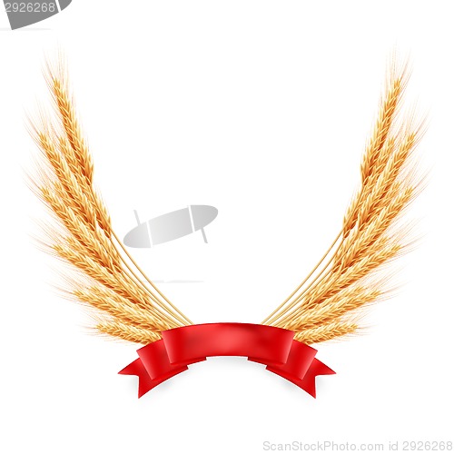 Image of Ripe yellow wheat ears with red ribbon. EPS 10
