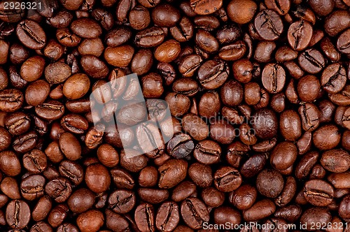 Image of Coffee beans