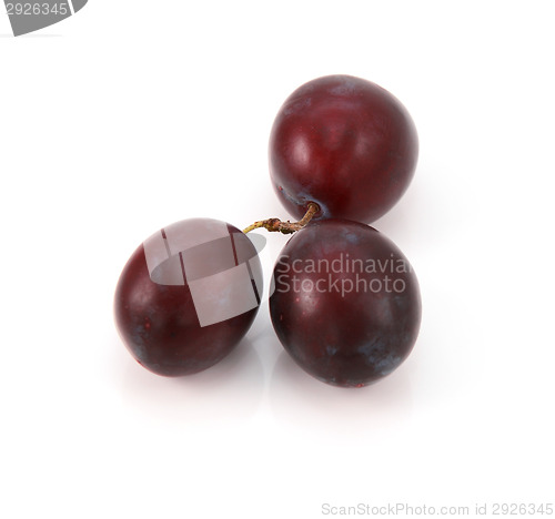 Image of Three ripe plums