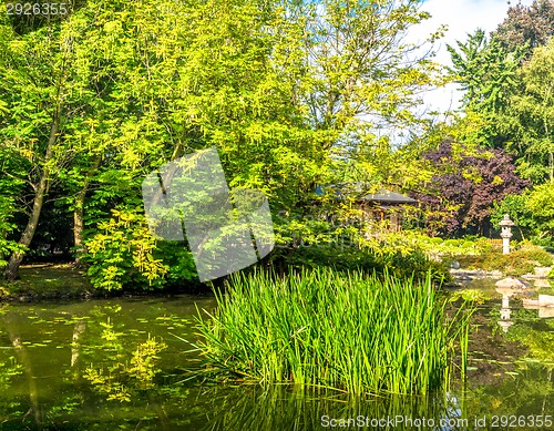 Image of  Japanese garden