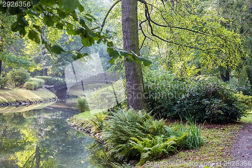 Image of  Japanese garden