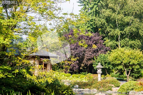 Image of  Japanese garden