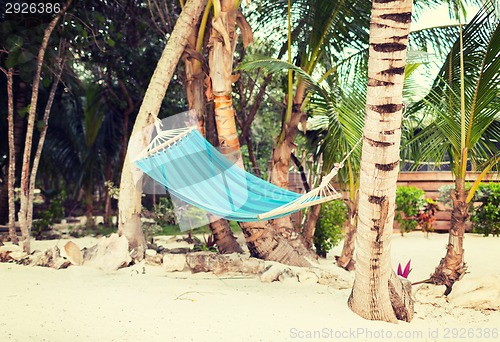 Image of hammock on tropical beach