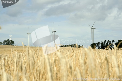 Image of windmills on cornfield