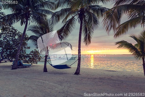 Image of hammock on tropical beach