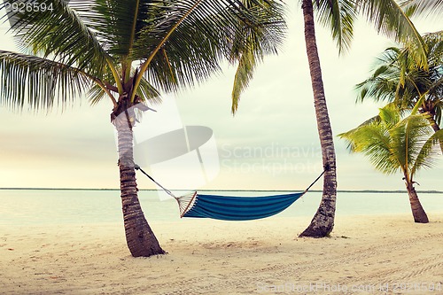 Image of hammock on tropical beach