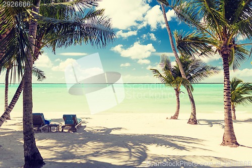 Image of tropical beach with palm trees