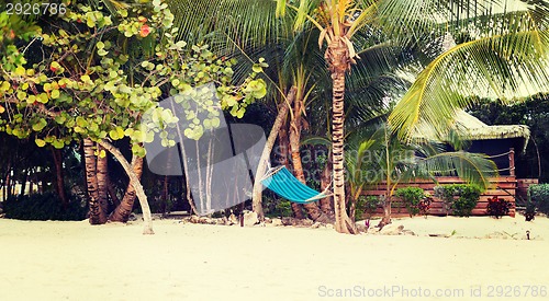 Image of hammock on tropical beach