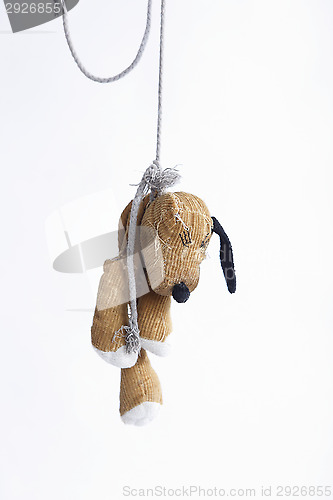 Image of Hanging stuffed dog 