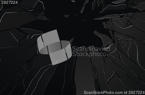 Image of Sharp Pieces of shattered black glass