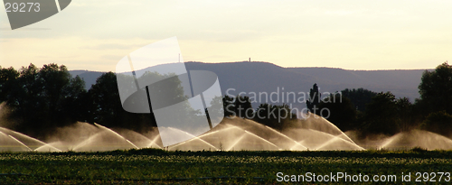 Image of irrigation