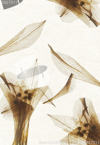 Image of Handmade flower petal paper texture