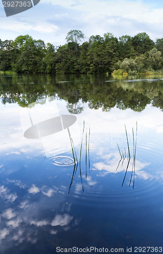 Image of Summer landscape