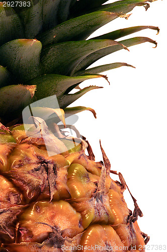 Image of Pineapple