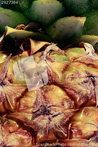Image of Pineapple