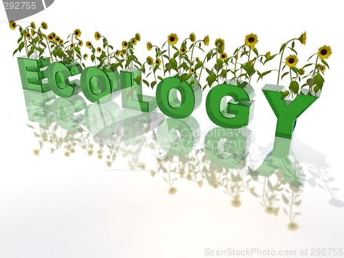 Image of ecology