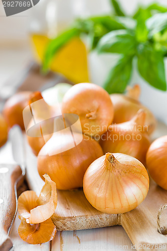 Image of Onion