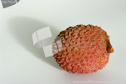 Image of Litchi chinensis