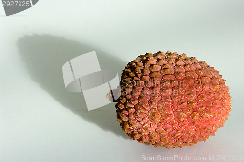 Image of Litchi chinensis