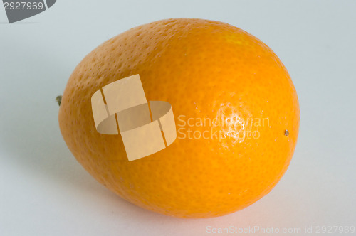 Image of Kumquat