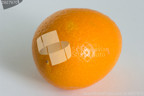 Image of Kumquat