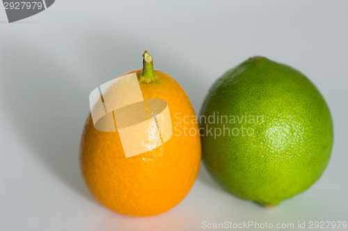 Image of Kumquat